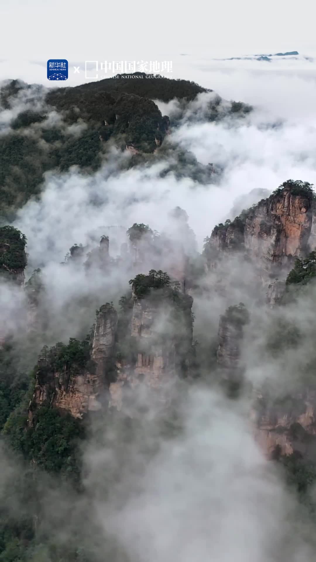 云雾中的张家界仙气飘飘黄石寨位于张家界国家森林公园中部素有不到黄石寨枉到张家界之说拔地而起的座座石英砂岩奇峰在云雾中或巍然屹立如铜墙铁壁或纤尘不染如绝世仙姝