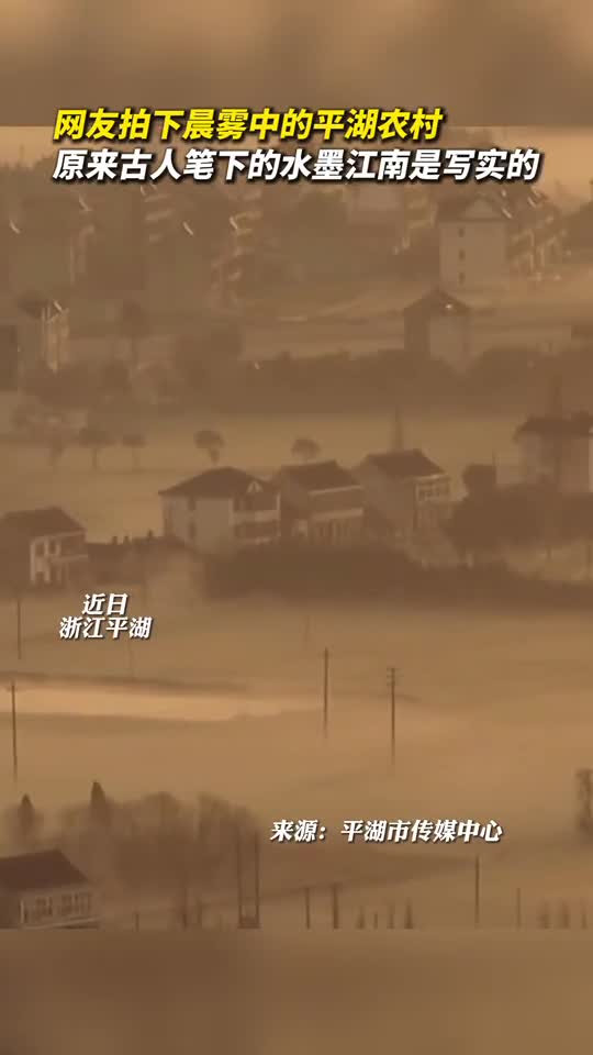 网友拍下晨雾中的平湖农村原来古人笔下的水墨江南是写实的