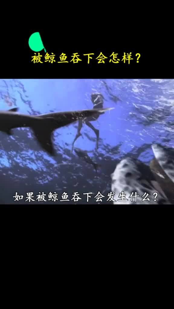 被鲸鱼吞进肚子里还有活的可能吗