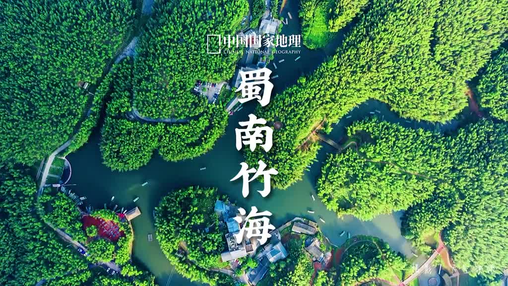 四川宜宾蜀南竹海万竿绿竹扫红尘竹香淡淡清风拂面你品出竹林里东方美学的神仙味道了吗