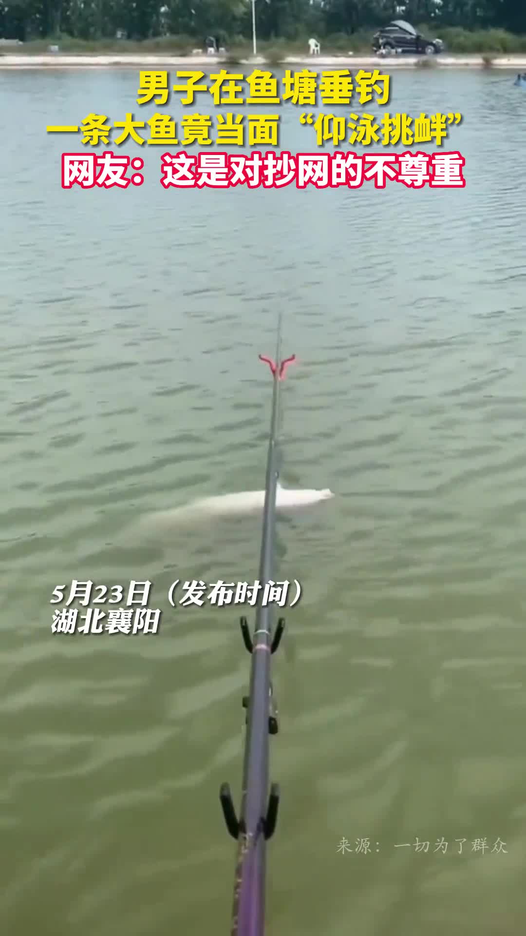 男子在鱼塘垂钓一条大鱼竟当面仰泳挑衅网友这是对抄网的不尊重