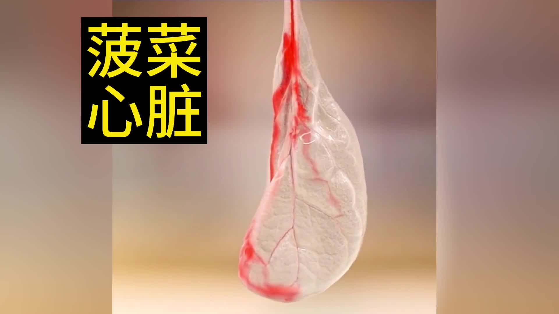 菠菜做心脏