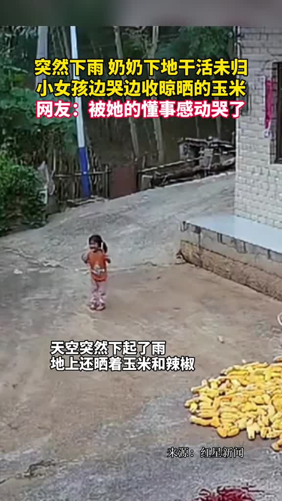 突然下雨奶奶下地干活未归小女孩边哭边收晾晒的玉米网友被她的懂事感动哭了