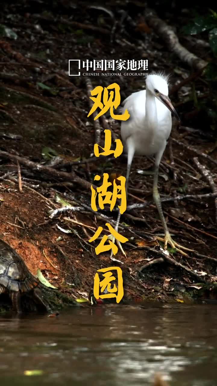 呐你们要的拍摄航拍V特别提示未经批准不要在公园内放生会严重影响生态