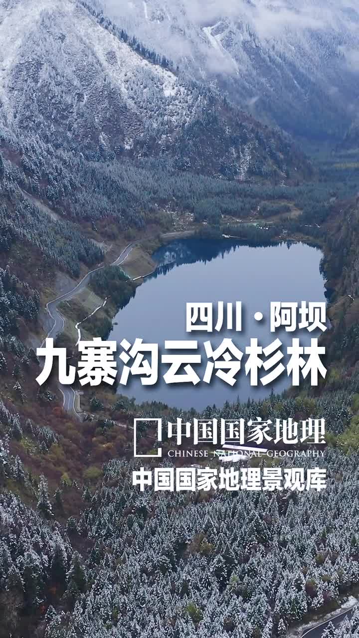 四川阿坝九寨沟云冷杉林九寨归来不看水冬日的海子蓝得如宝石般镶嵌在纯白的山林之中梦幻唯美如童话世界山水如画的九寨沟位于四川省阿坝藏族羌族自治州九寨沟县的中南部属岷山山脉的深切割高山峡谷区碧水群瀑滩流清泉和雪峰将它装点得静谧多变而曼妙你去过九寨沟吗来分享一下你的旅行经历吧