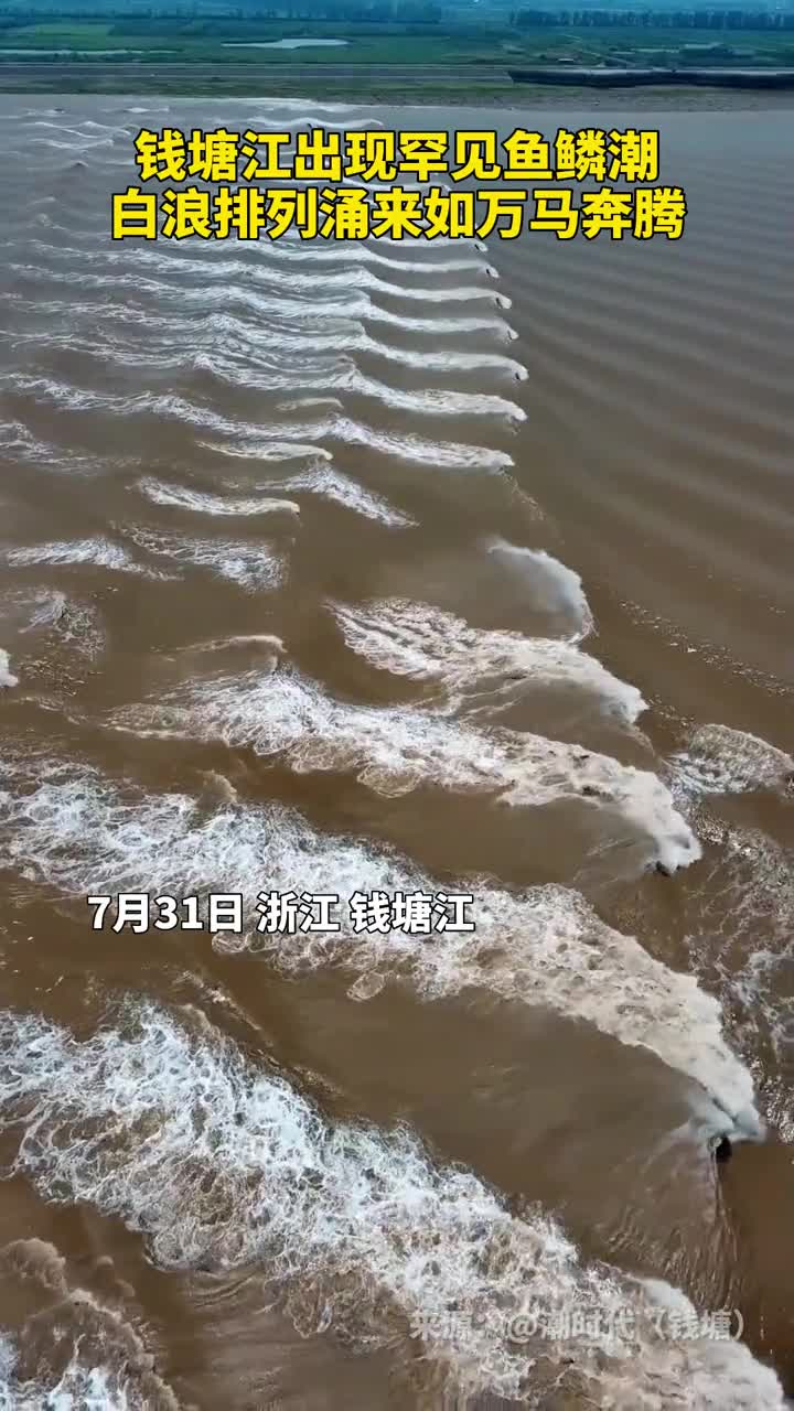 钱塘江出现罕见鱼鳞潮白浪排列涌来如万马奔腾