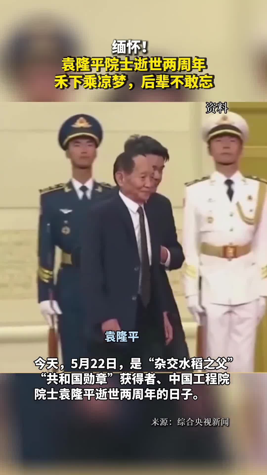 缅怀袁隆平院士逝世两周年禾下乘凉梦后辈不敢忘