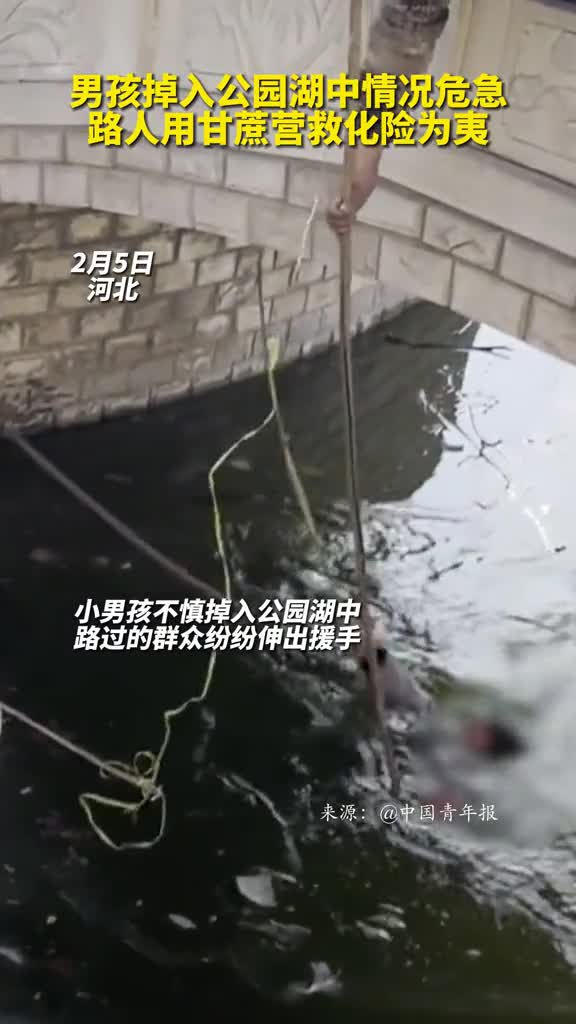男孩掉入公园湖中情况危急路人用甘蔗营救化险为夷
