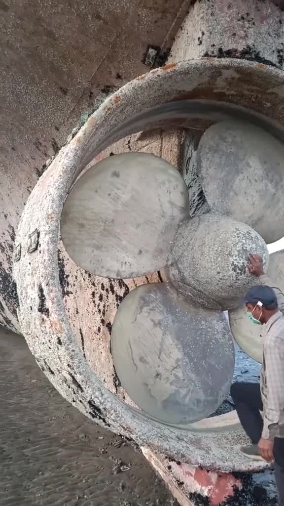 直观感受巨轮螺旋桨有多大比人都高