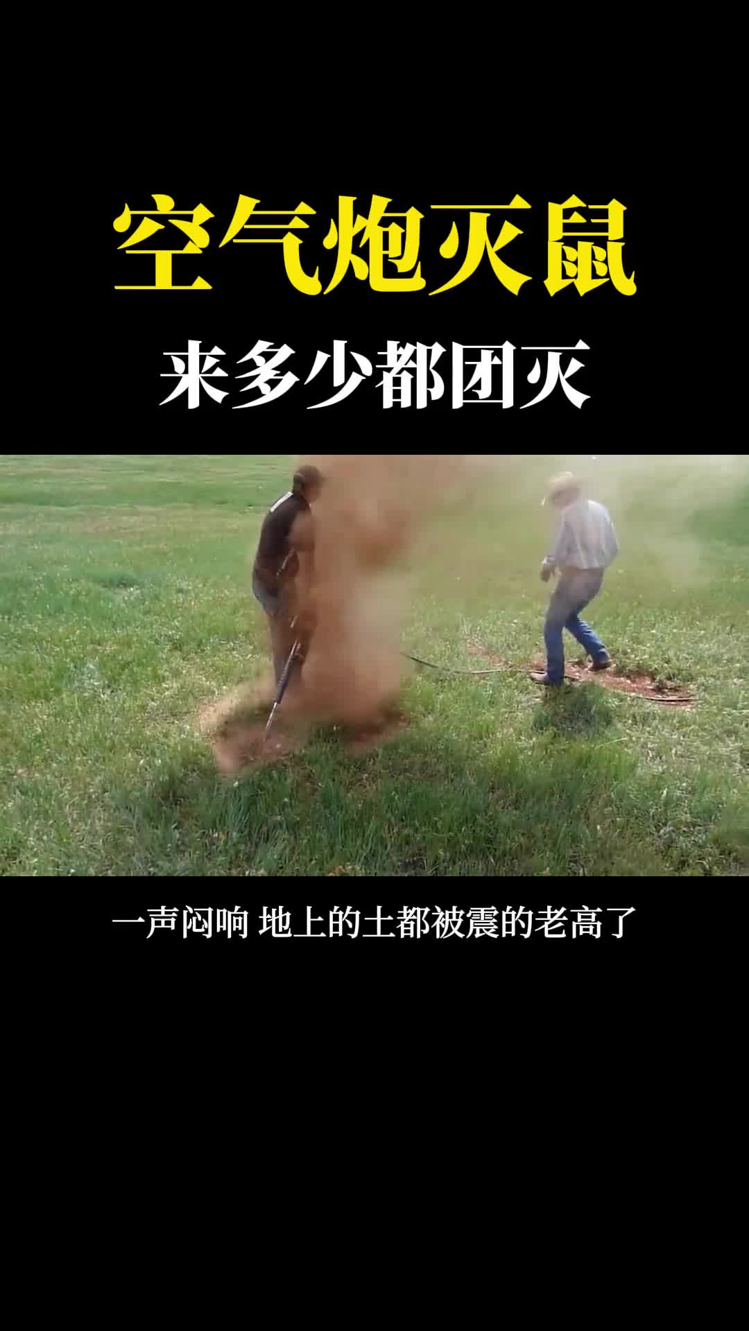 不可思议的空气炮灭鼠一炮下去多少老鼠都团灭