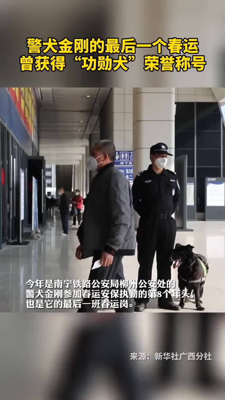 警犬金刚的最后一个春运曾获得功勋犬荣誉称号