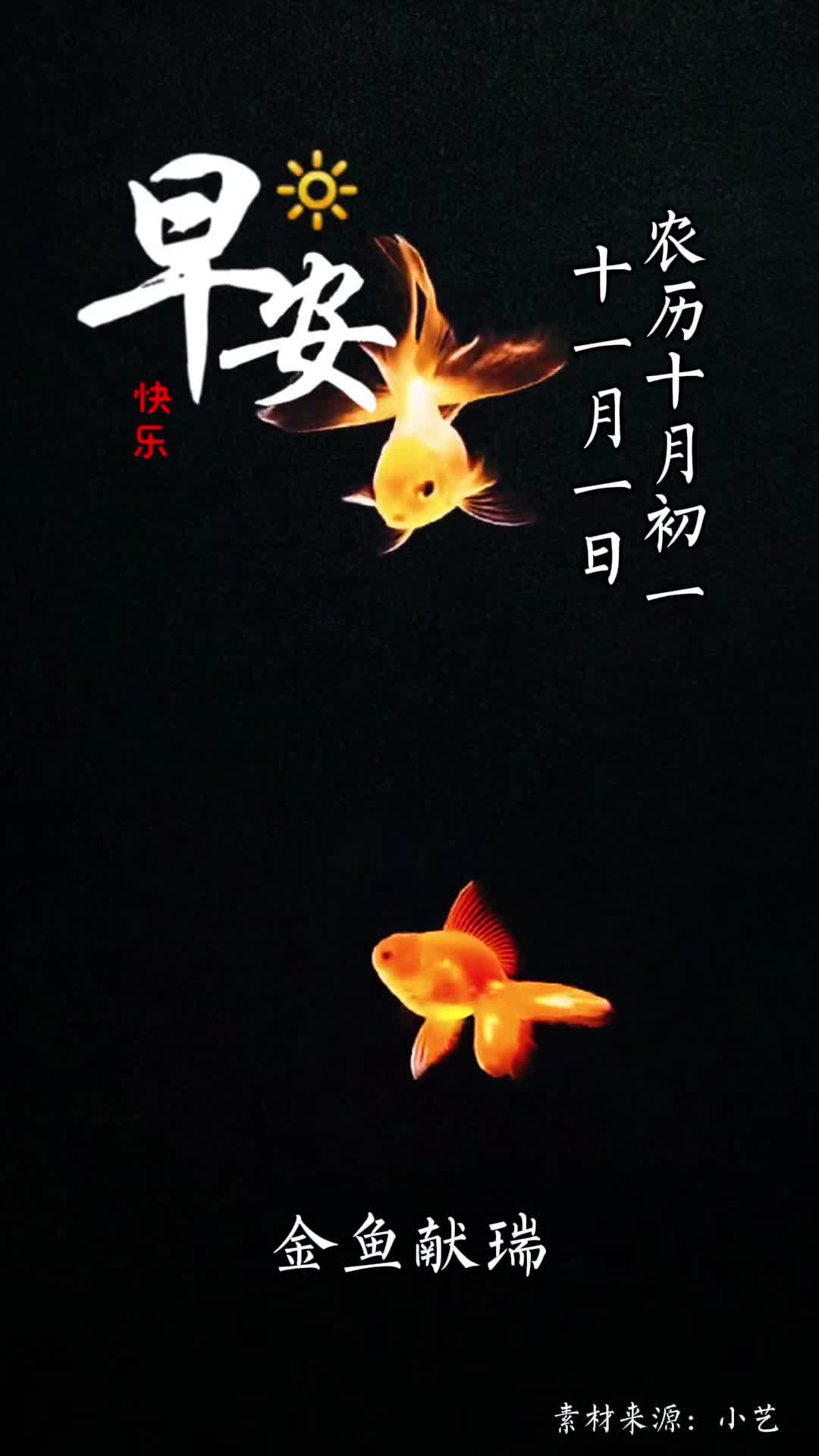 金鱼献瑞福气满堂今天是农历十月初一新的一天祝您富贵平安万事兴年年有余乐无疆