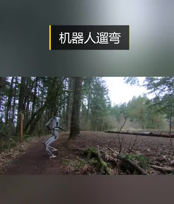 机器人遛弯步伐越来越像人类了