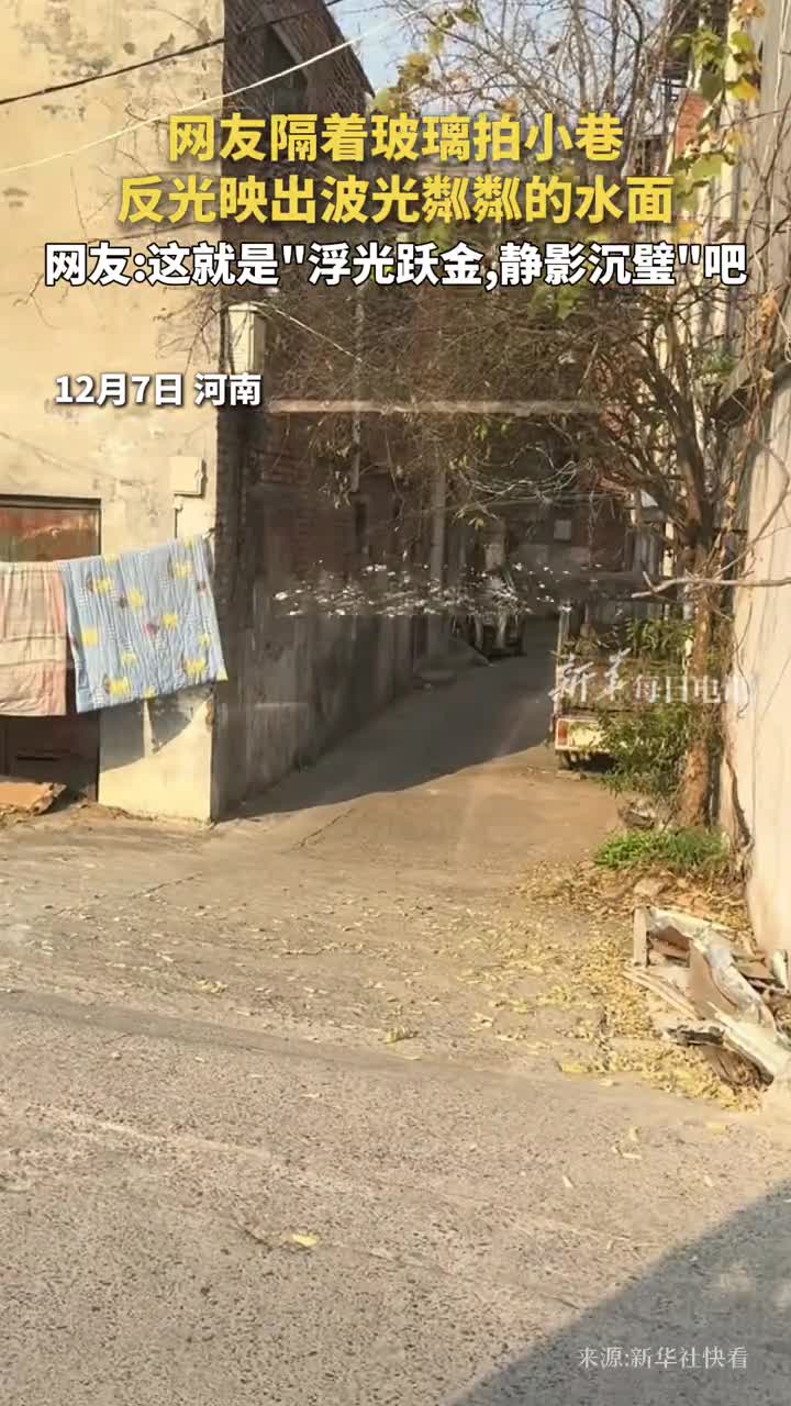 网友隔着玻璃拍小巷反光映出波光粼粼的水面网友这就是浮光跃金静影沉璧吧