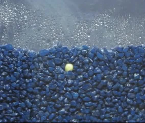 种子的力量抖音小助手