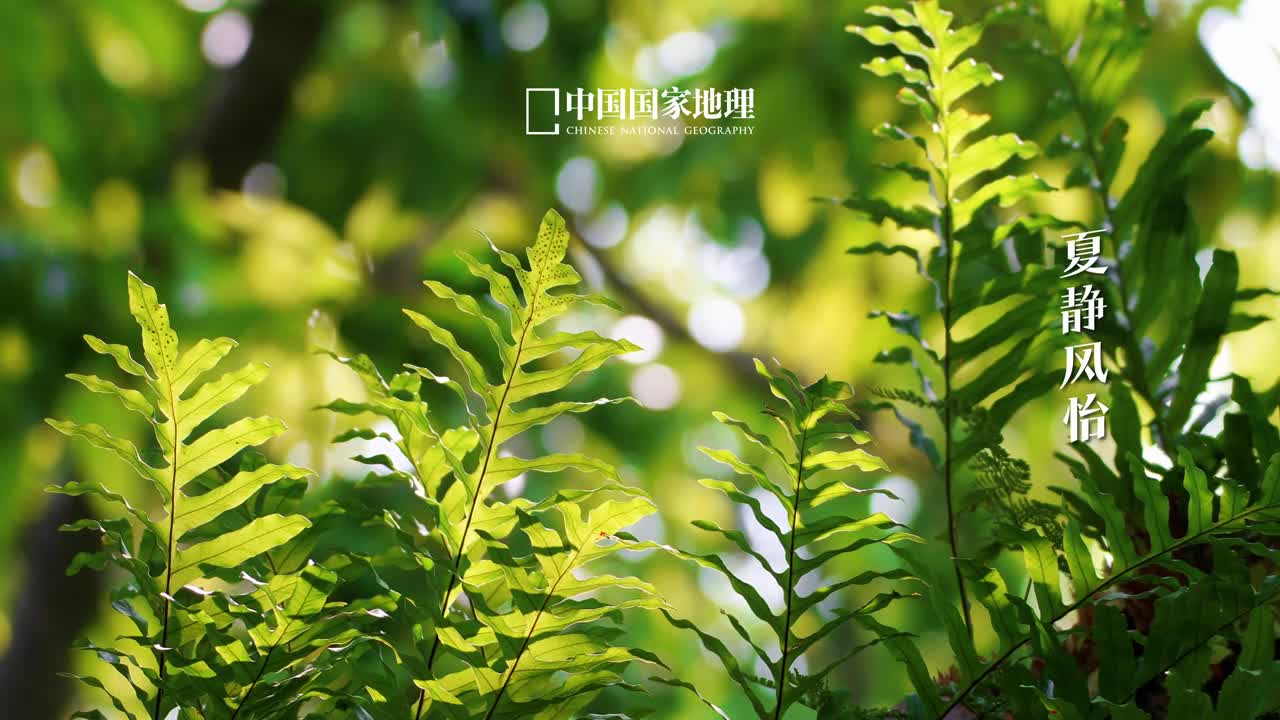 小满浮生得闲万物可爱小满是夏天的第二个节气此时太阳直射点持续北移夏静风怡天地畅快丰盈的夏在不觉中已经悄然而至小满恰逢520颇富哲理适当留白方能致远人生难得小美满恰到好处的爱意自在流露与时舒卷恰到好处的日子且以真心浅诉深情