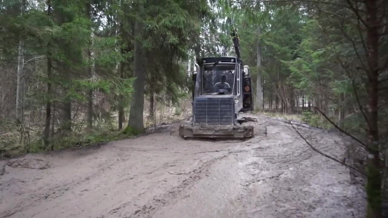 感觉这一车木头都不够油钱