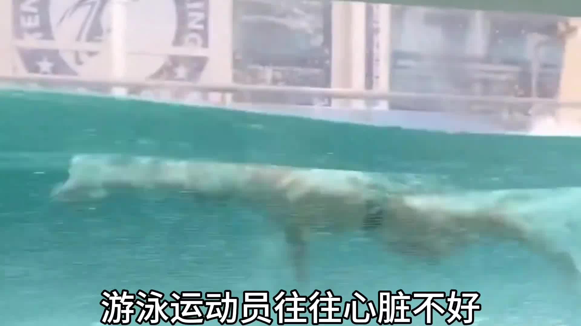 代价不同职业运动员背后的心酸代价