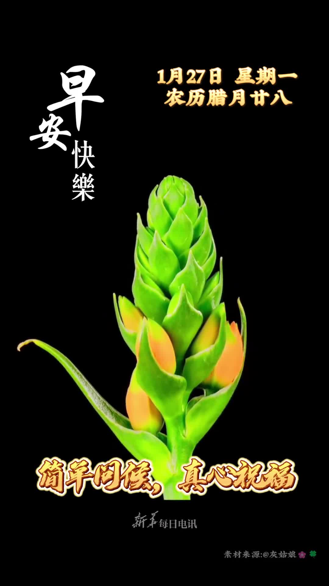 简单问候真心祝福农历腊月二十八祝您和家人顺心如意步步高升早安