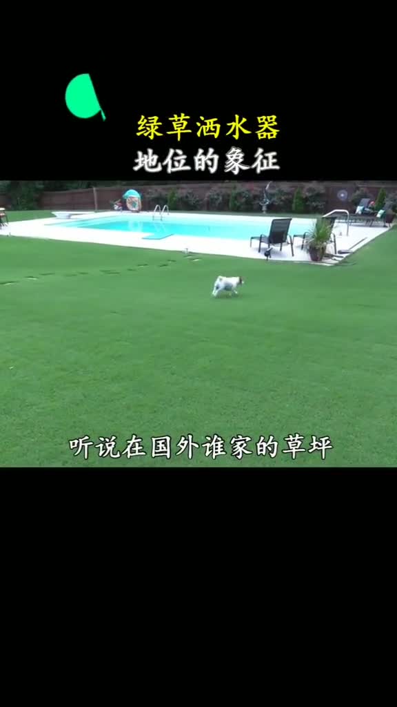 这要是洒在头顶会怎样