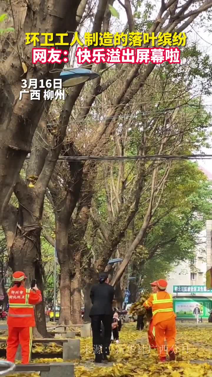 环卫工人制造的落叶缤纷网友快乐溢出屏幕啦