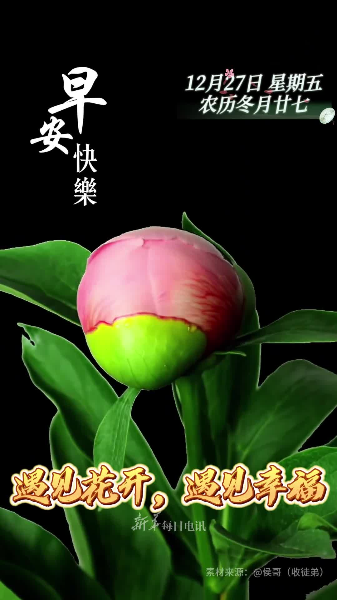 遇见花开遇见幸福新的一天祝您和家人吉祥康泰万事亨通