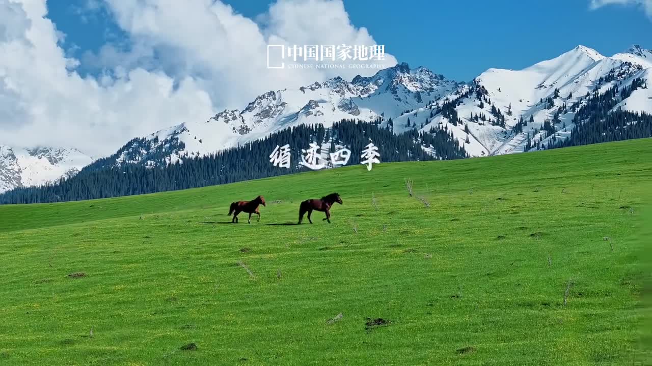 2024四时好景送给每个认真生活的你这一年我们在四时有序的节气里诗意地栖居在新旧交叠的时光中信步前行化琐碎的庸常为不平凡的日常逾山越海奔赴热爱循迹四季让生命与远方关联