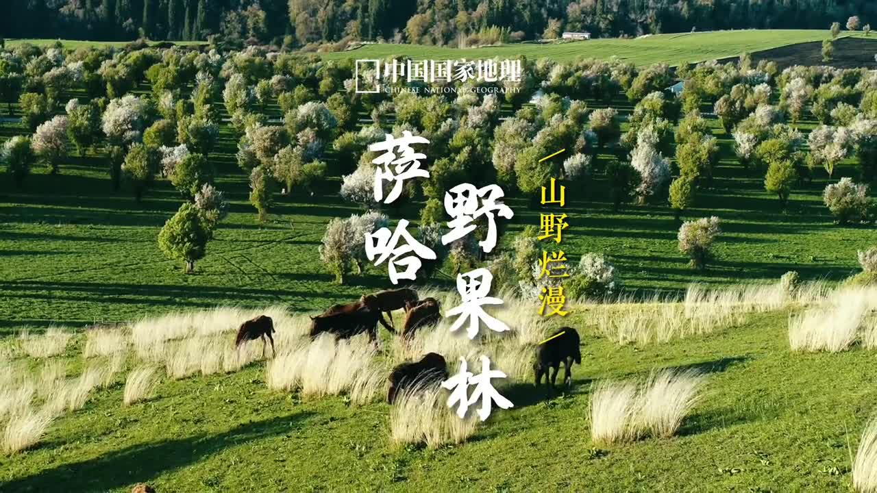 你们想看的新疆伊犁