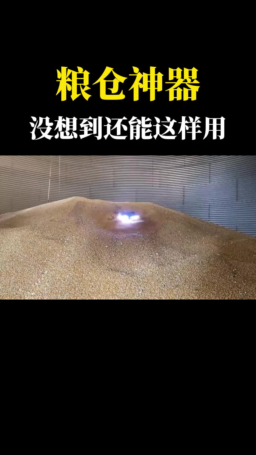 国外研发粮仓管理机器人代替人工维护粮食没想到作用这么大