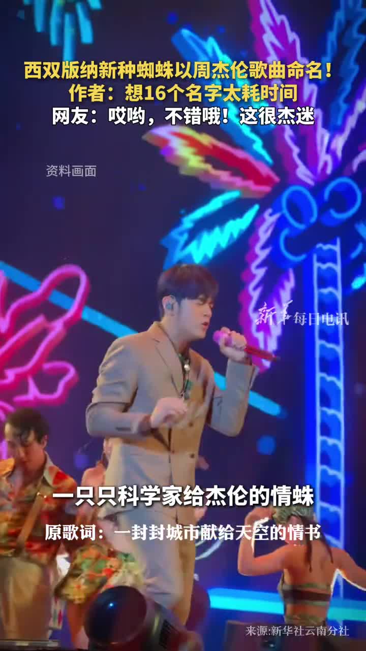 西双版纳新种蜘蛛以周杰伦歌曲命名作者想16个名字太耗时间网友哎哟不错哦这很杰迷