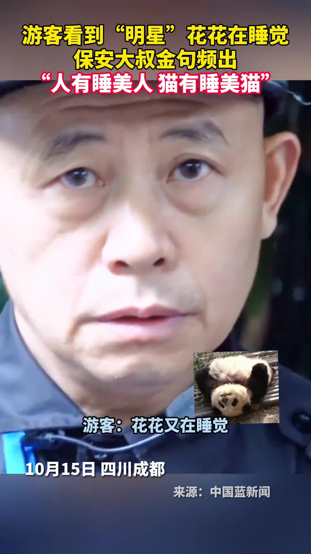 游客看到明星花花在睡觉保安大叔金句频出人有睡美人猫有睡美猫
