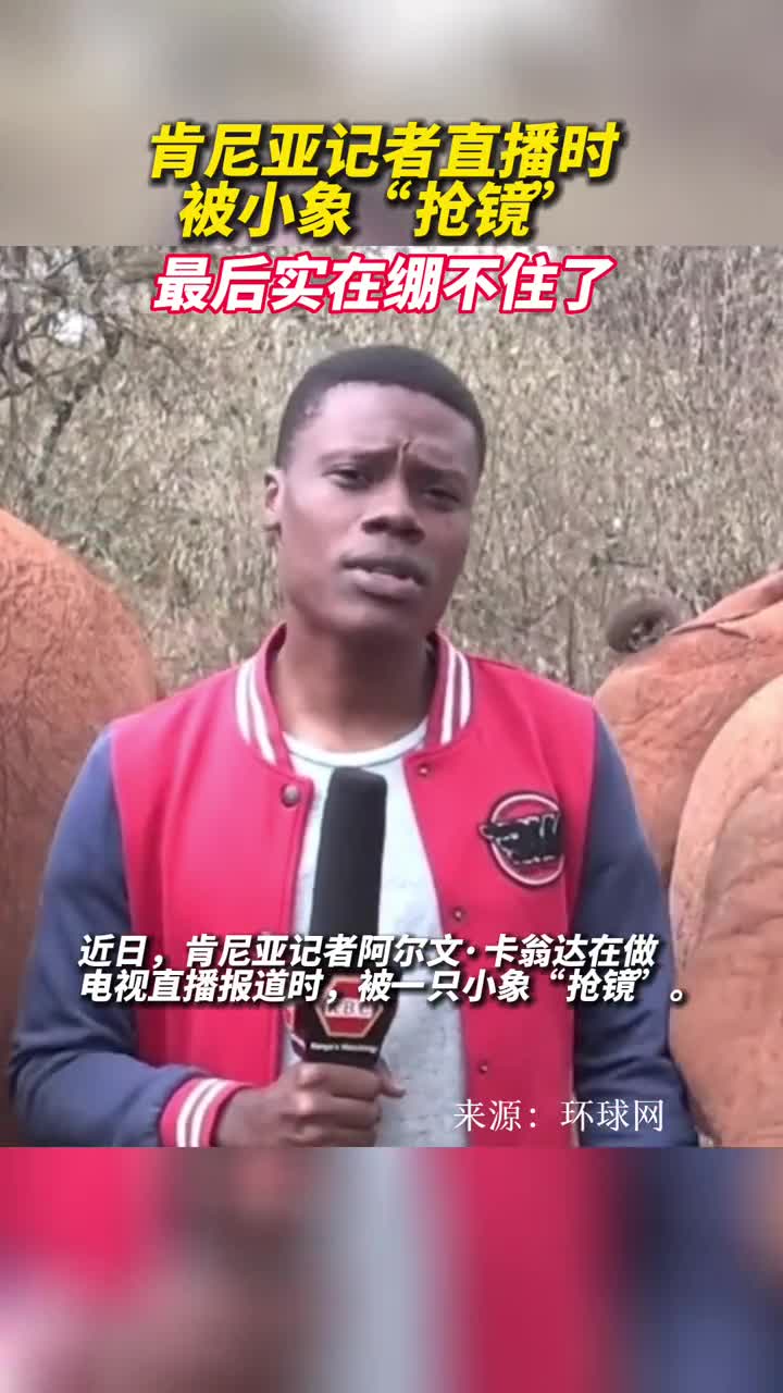 肯尼亚记者直播时被调皮小象抢镜最后实在绷不住了