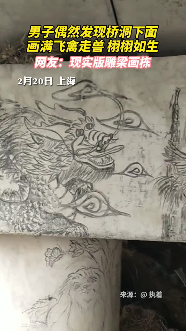 男子偶然发现桥洞下面画满飞禽走兽栩栩如生