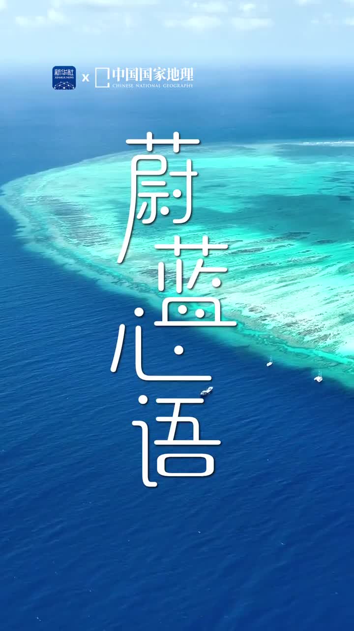 世界不能没有干净的海洋海浪轻拂沙滩阳光穿透波浪鱼儿无忧无虑地游弋这里是海南在这片纯净而自由的蔚蓝之中或许只有海里的生灵们能听见大海的心事