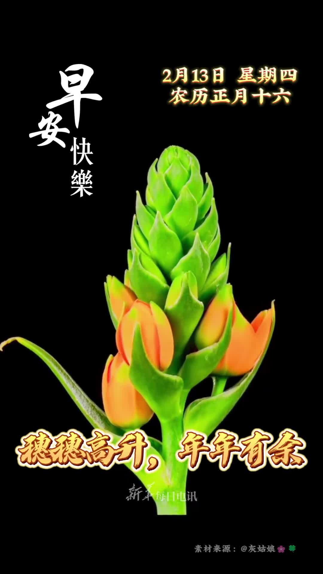 穗穗高升年年有余今天是正月十六恭祝您和家人六六大顺所愿皆成早安