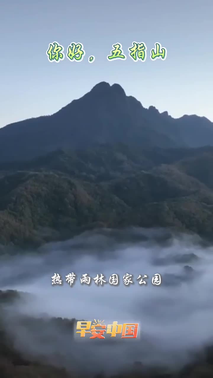 绿动五指山氧生翡翠城