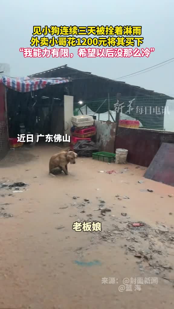见小狗连续三天被拴着淋雨外卖小哥花1200元将其买下我能力有限希望以后没那么冷