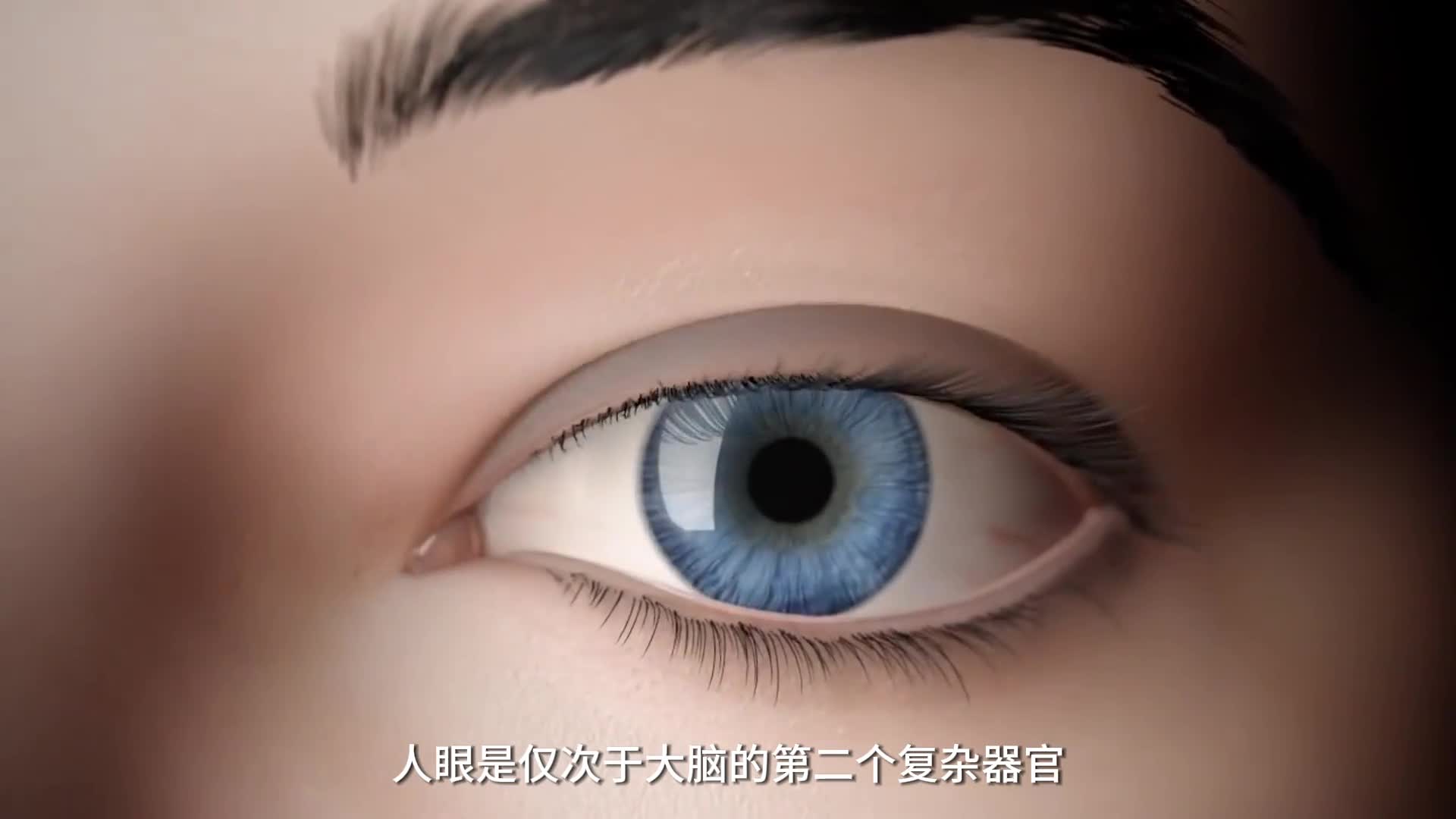 眼见不一定为实带你看眼睛的工作原理