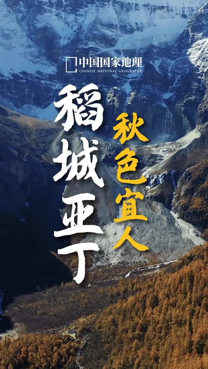 因为自由所以美好