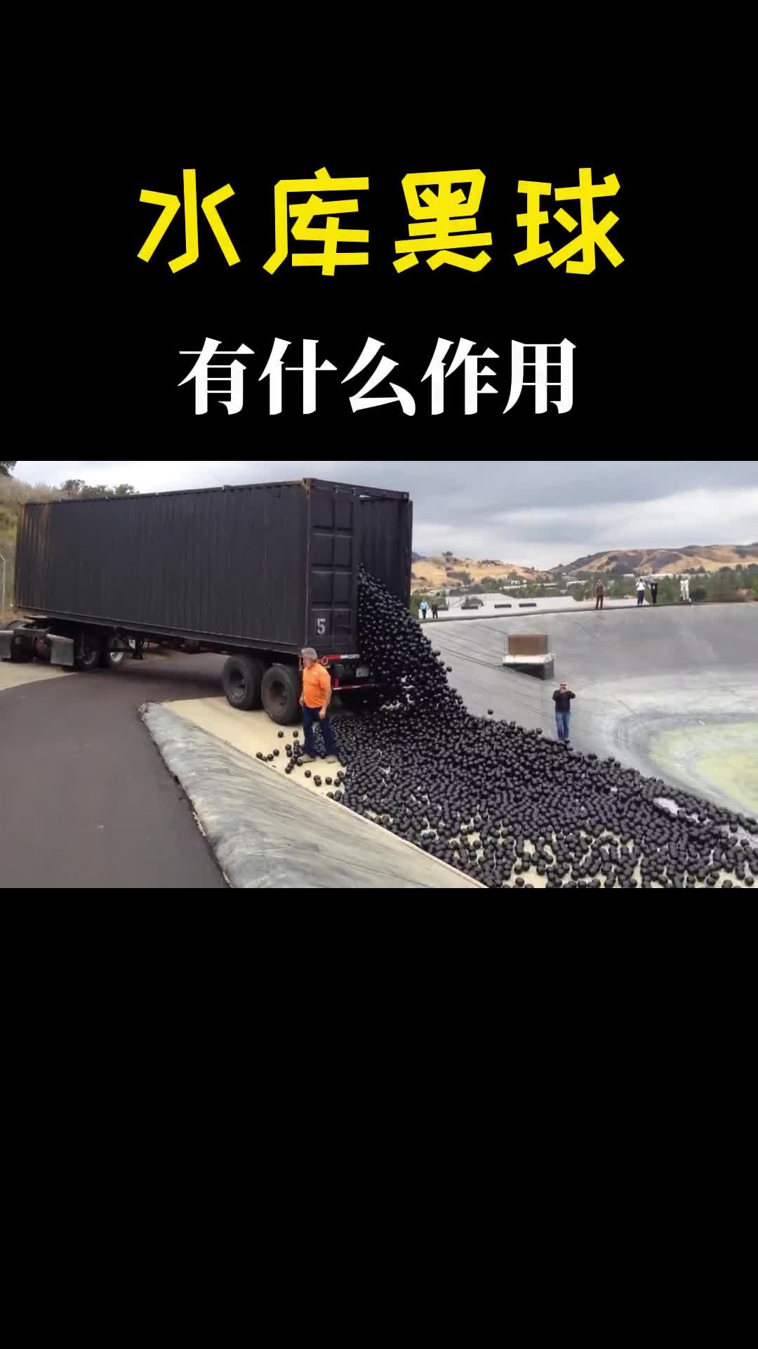 不可思议的黑球密密麻麻铺满水库到底要干什么