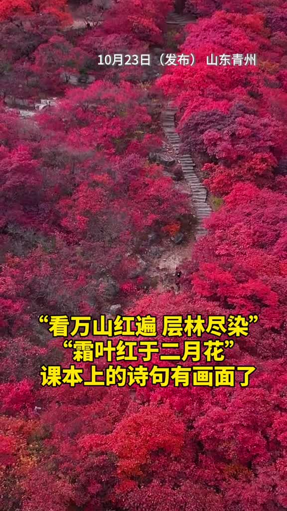 看万山红遍层林尽染霜叶红于二月花课本上的诗句有画面了北极星