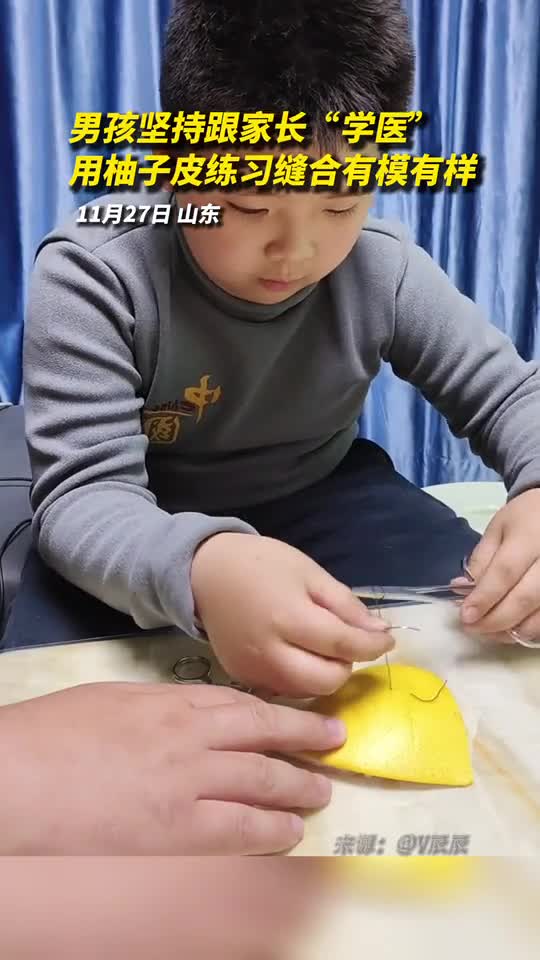 男孩坚持跟家长学医用柚子皮练习缝合有模有样