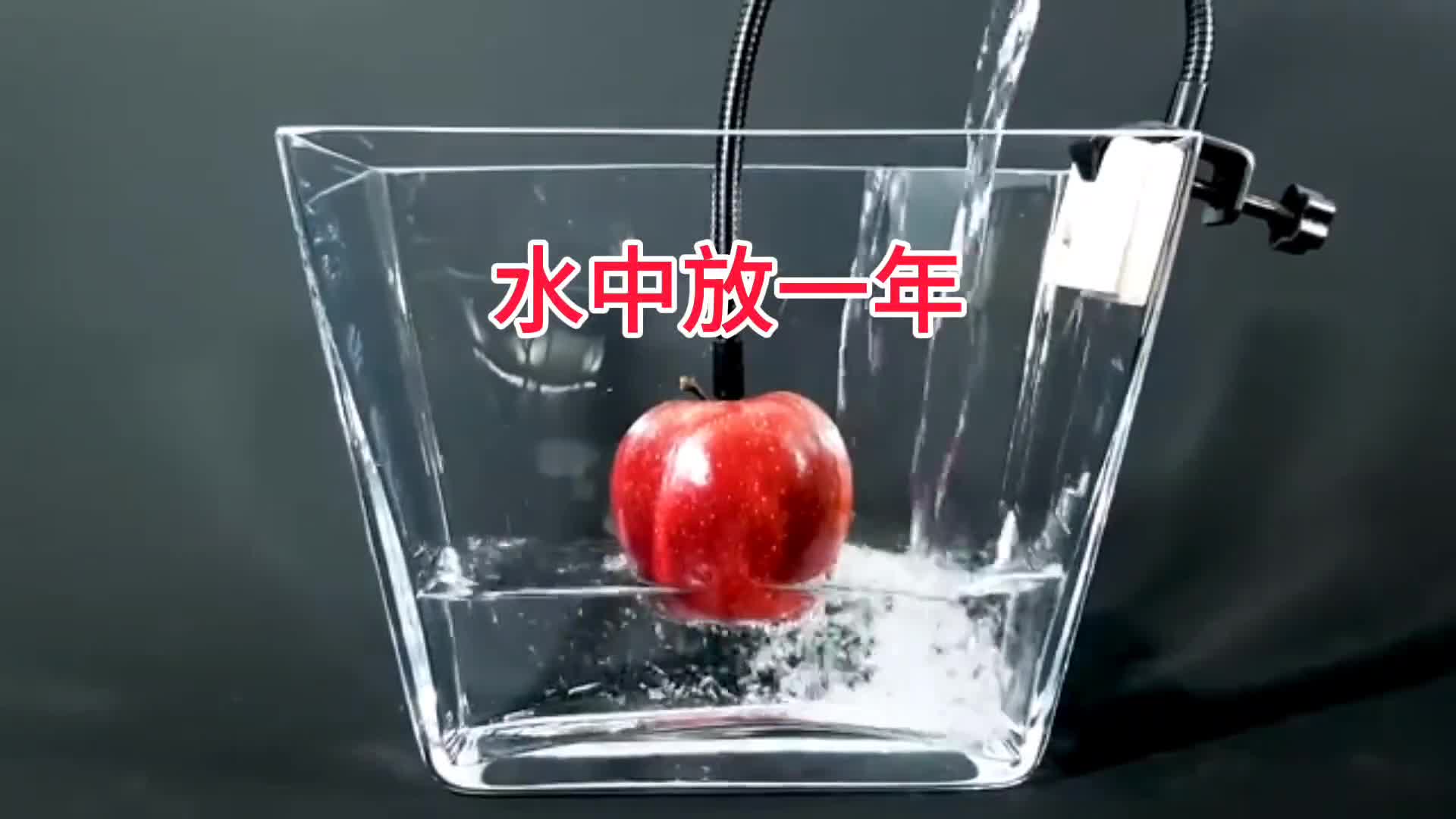 水会延缓腐烂吗