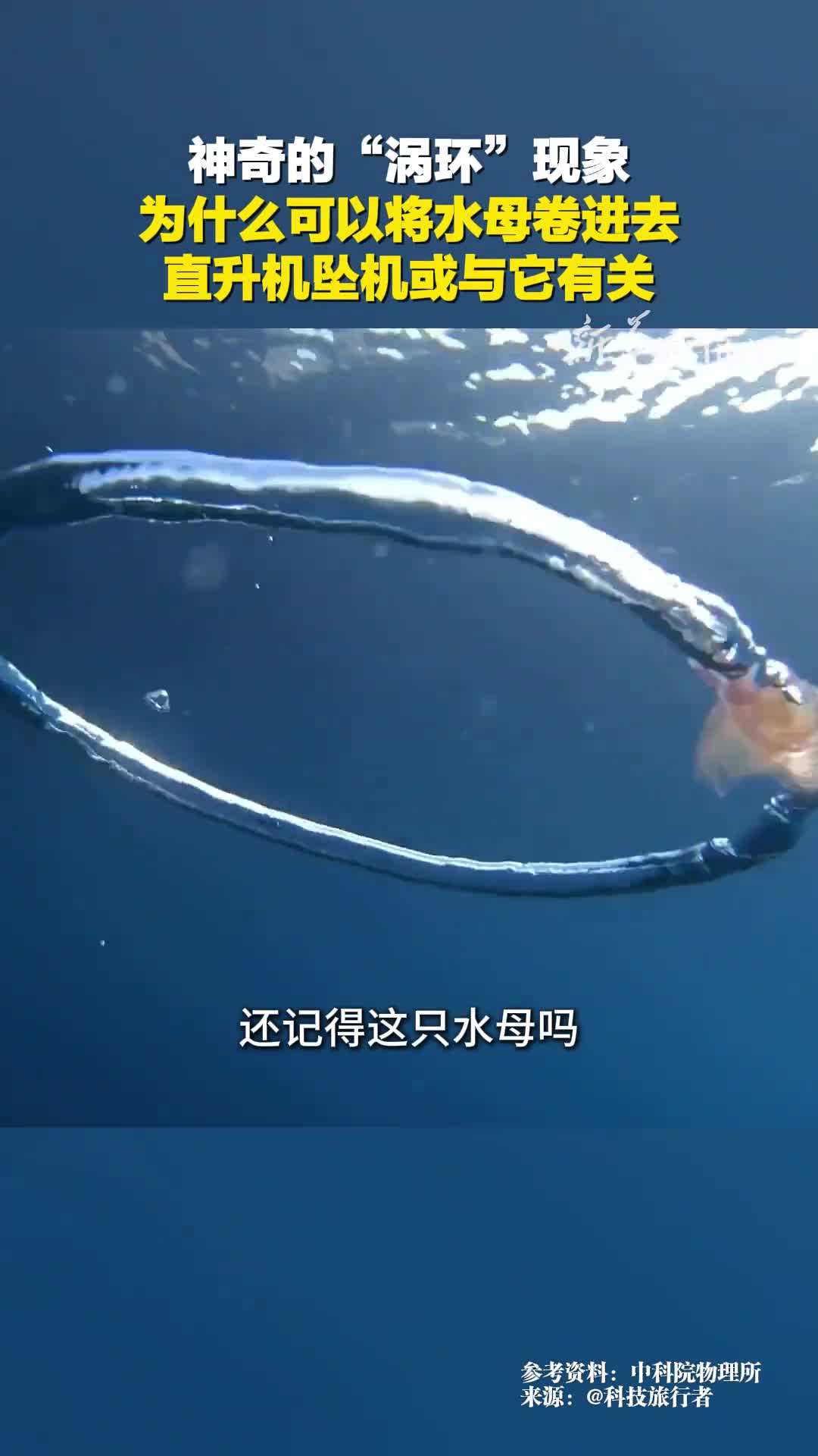 神奇的涡环现象为什么可以将水母卷进去直升机坠机或与它有关