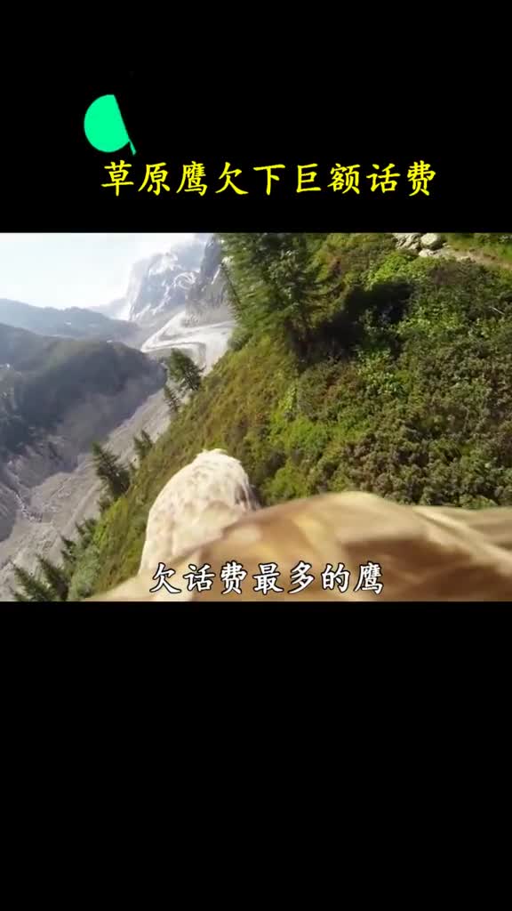 鹰我都开了飞行模式为什么还扣话费