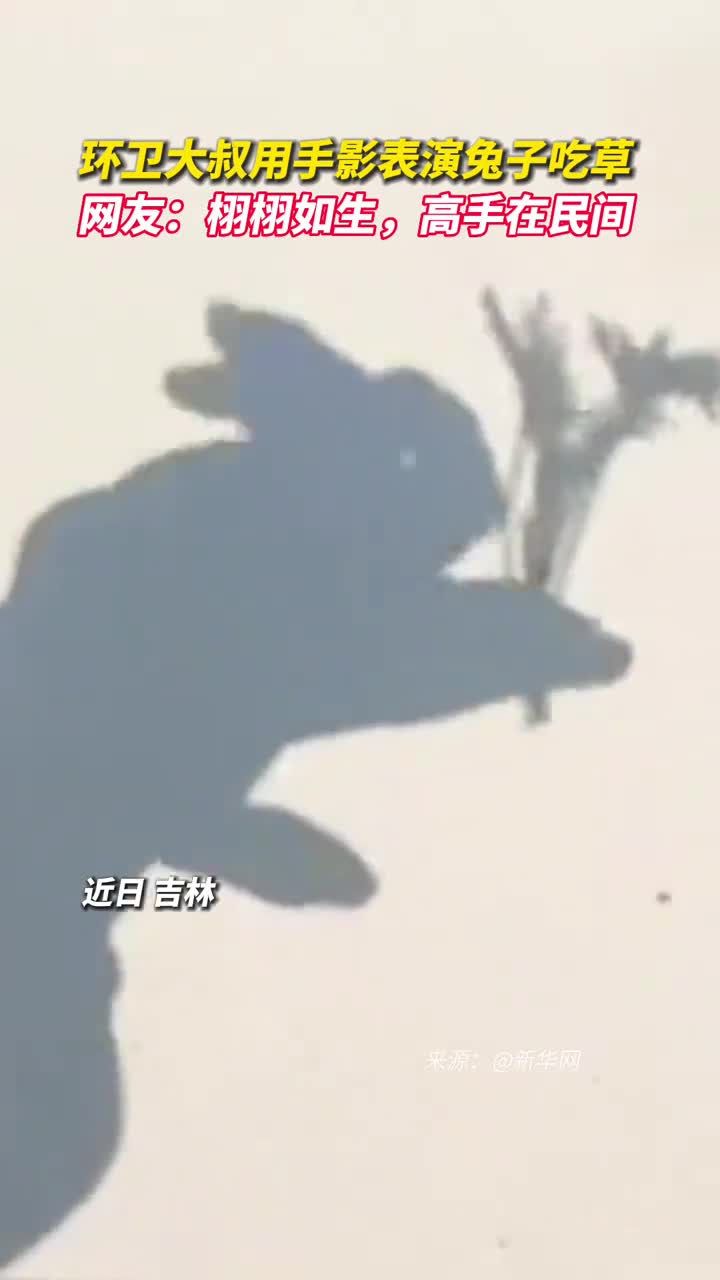 环卫大叔用手影表演兔子吃草网友栩栩如生高手在民间