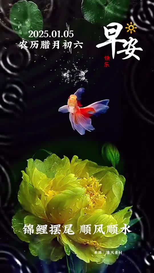 锦鲤摆尾顺风顺水农历腊月初六愿您风生水起六六大顺早安