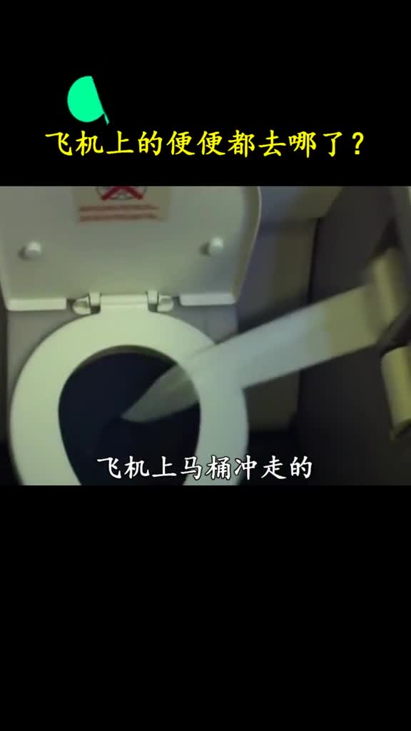 飞机上的便便都去了哪了让我带你一起玩走进科学