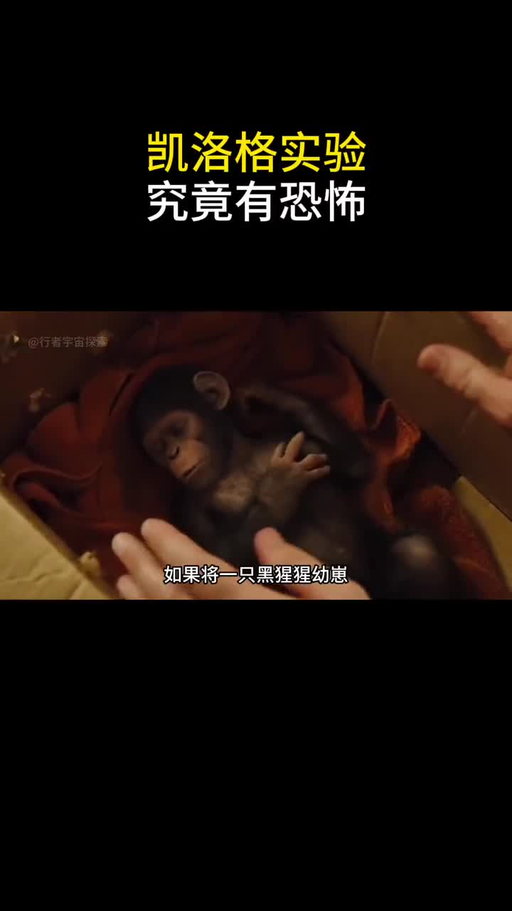 凯洛格实验究竟有多恐怖结局令人深思