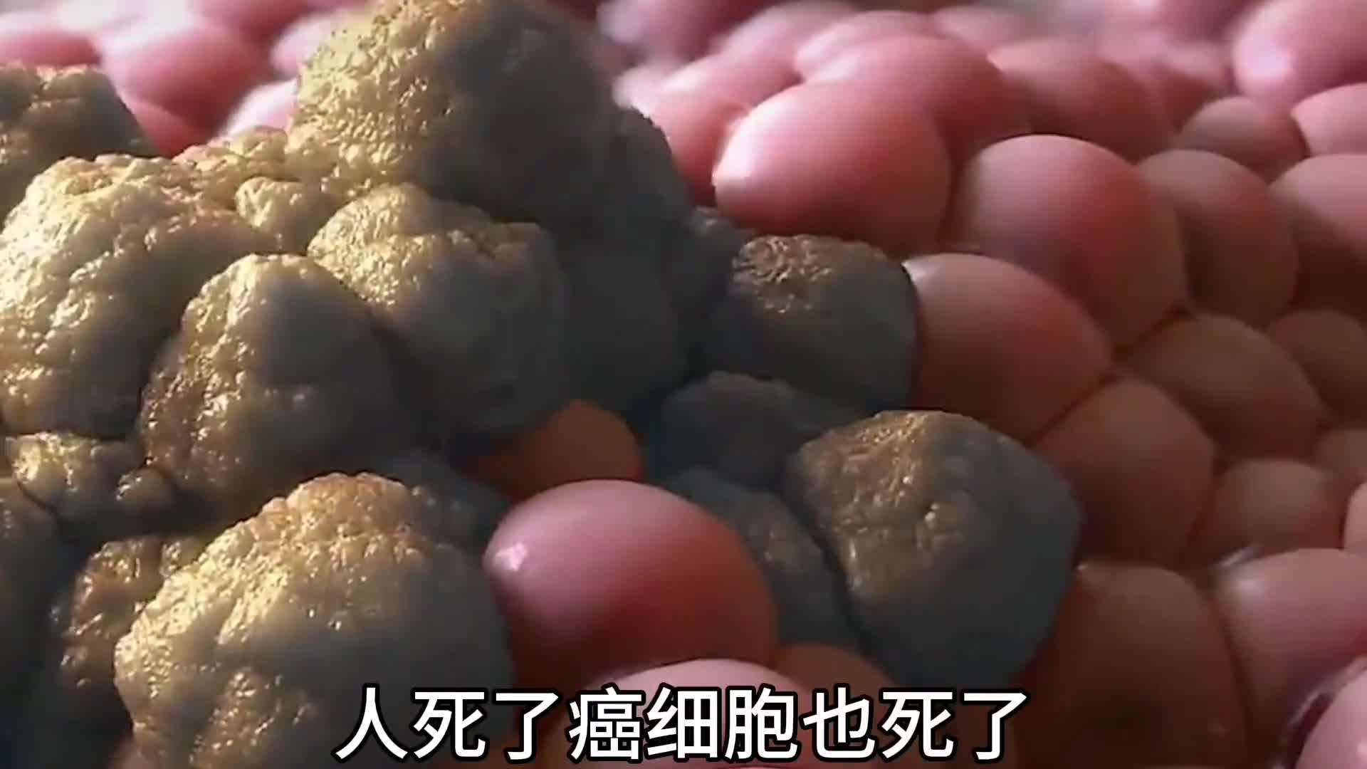 癌细胞为啥要和人类同归于尽